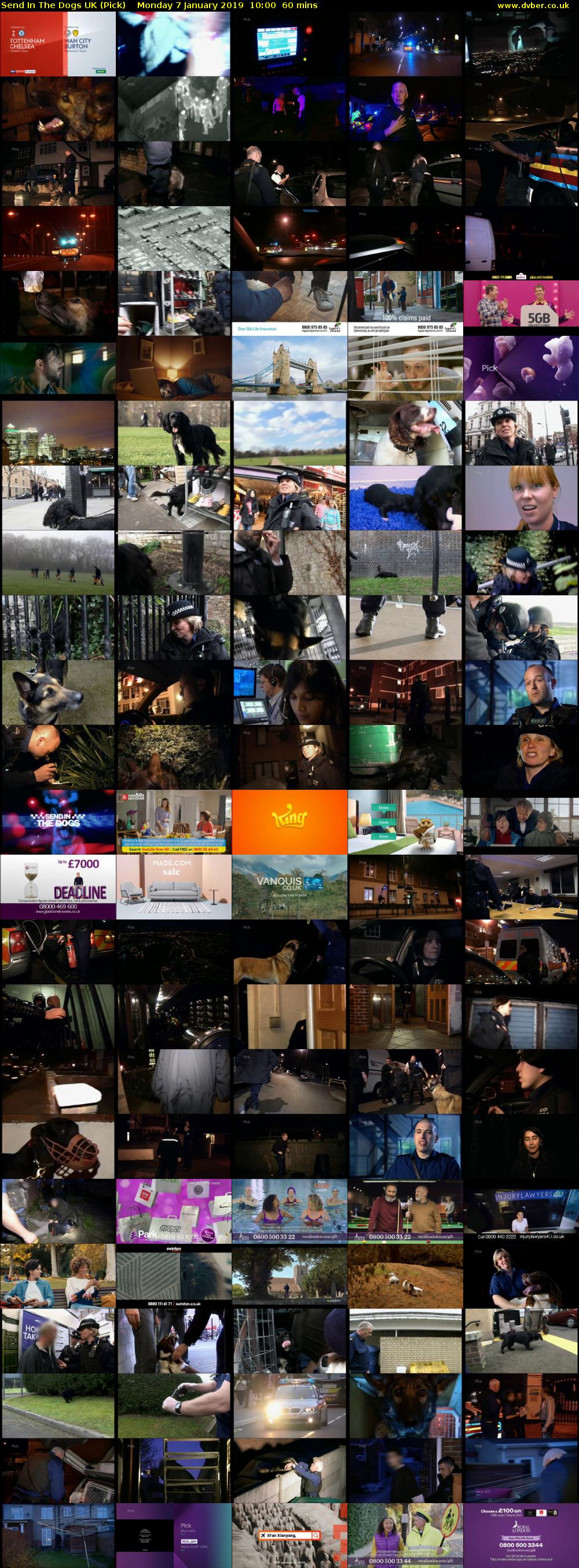 Send In The Dogs UK (Pick) Monday 7 January 2019 10:00 - 11:00