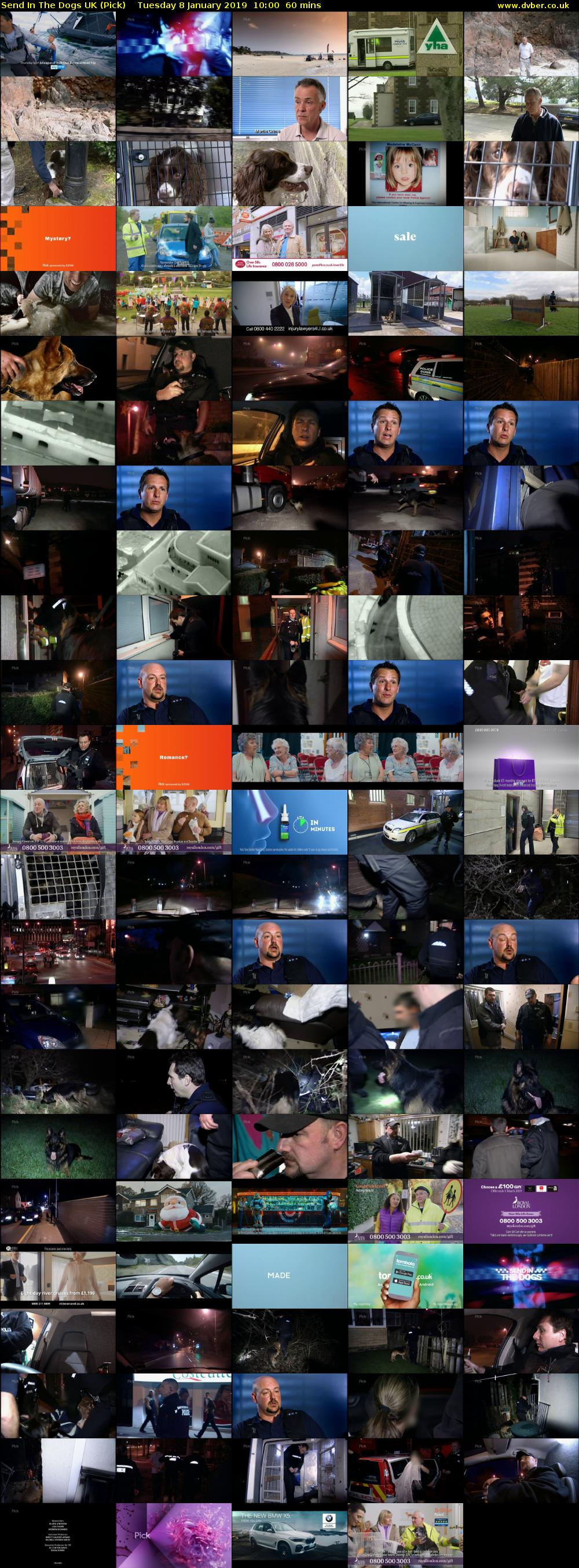 Send In The Dogs UK (Pick) Tuesday 8 January 2019 10:00 - 11:00