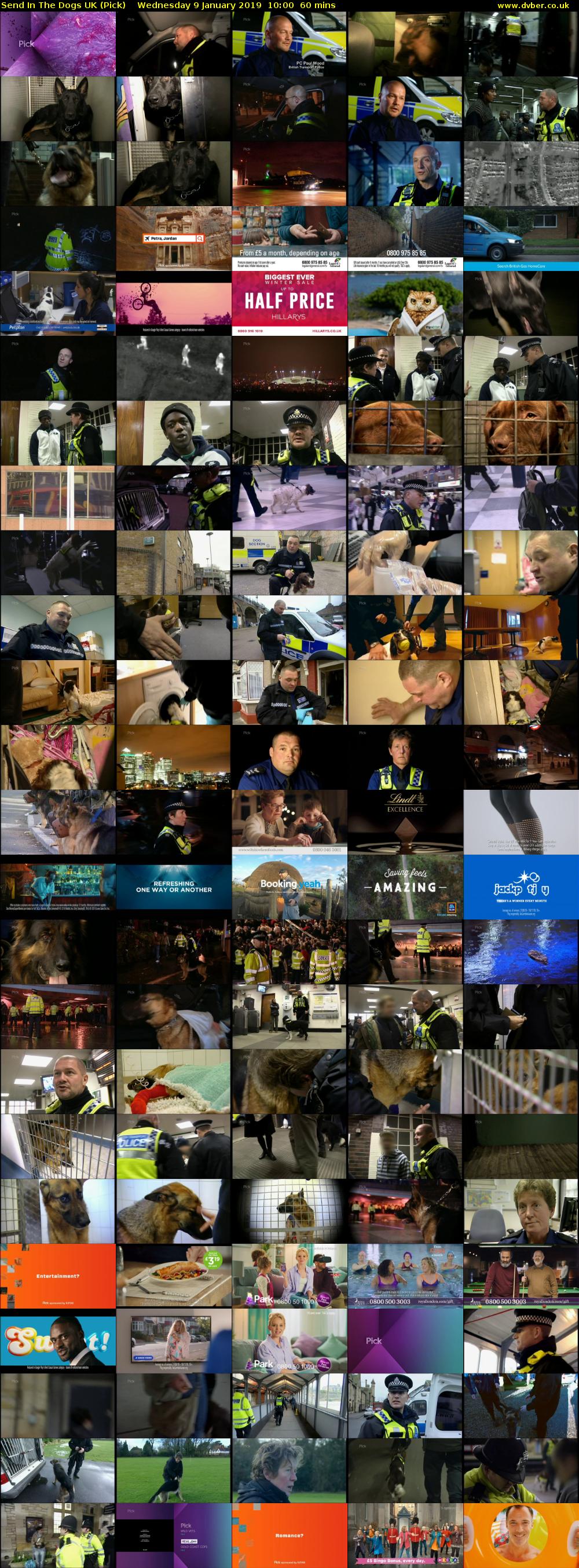 Send In The Dogs UK (Pick) Wednesday 9 January 2019 10:00 - 11:00