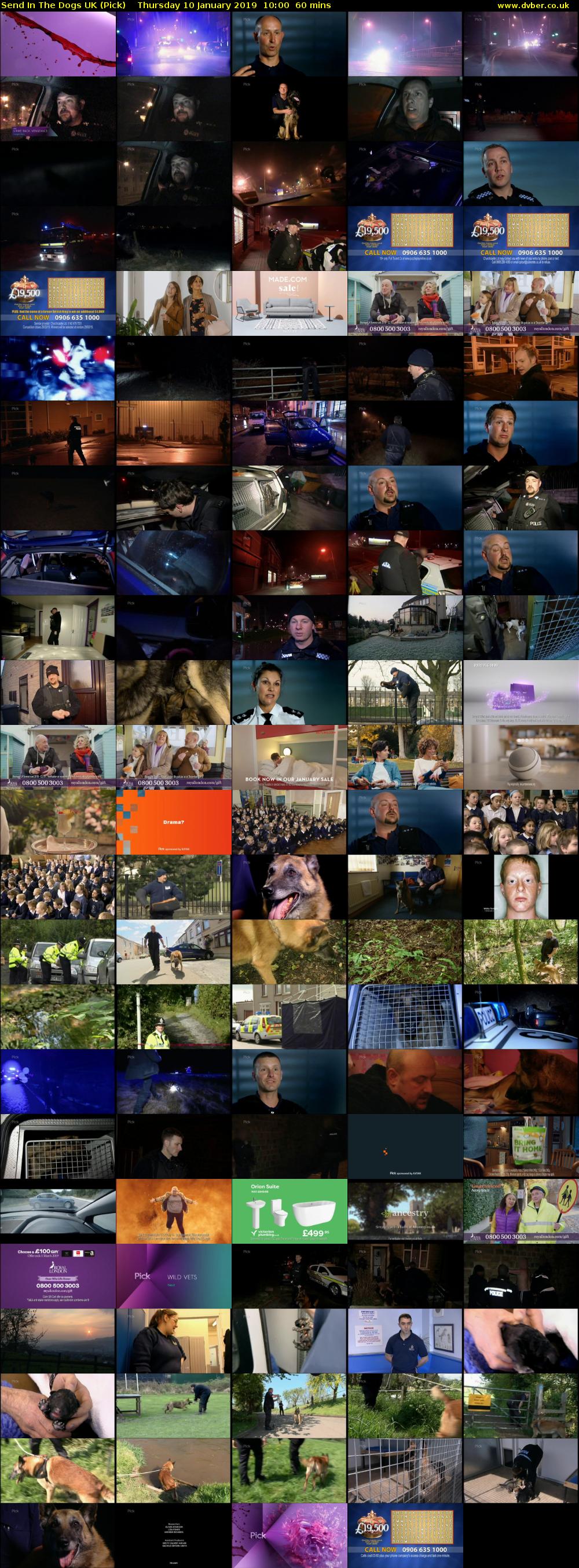 Send In The Dogs UK (Pick) Thursday 10 January 2019 10:00 - 11:00