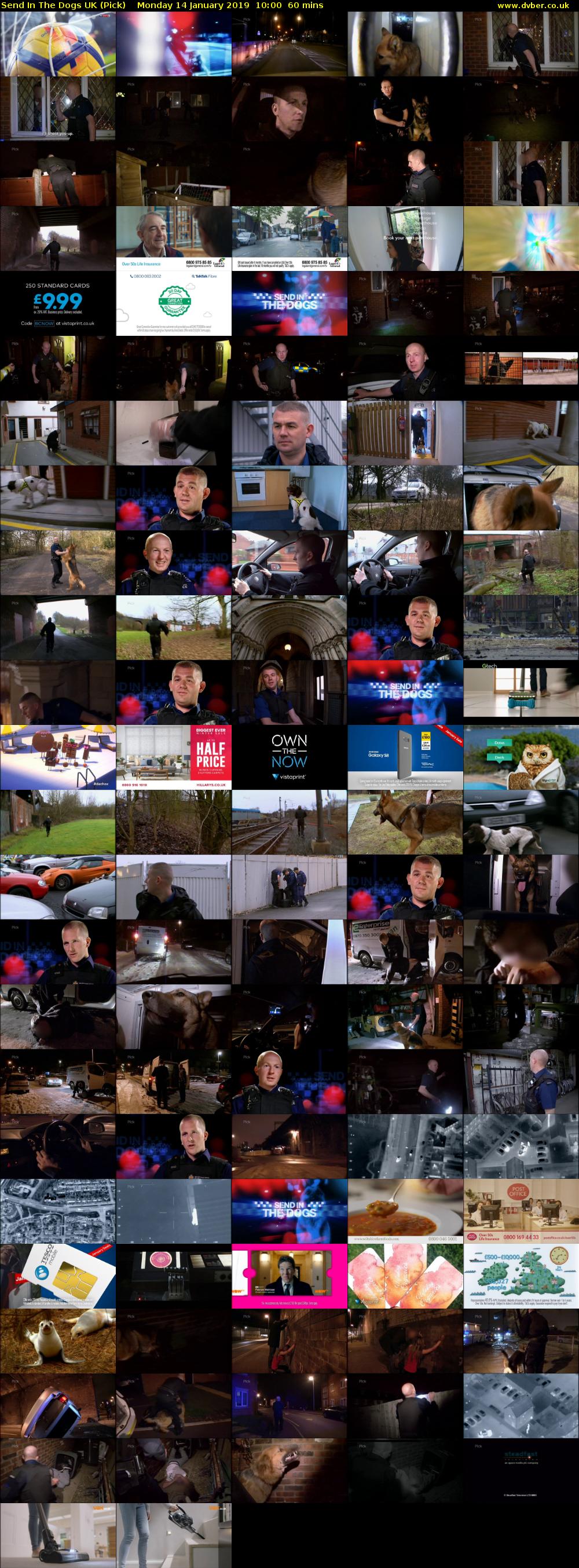 Send In The Dogs UK (Pick) Monday 14 January 2019 10:00 - 11:00