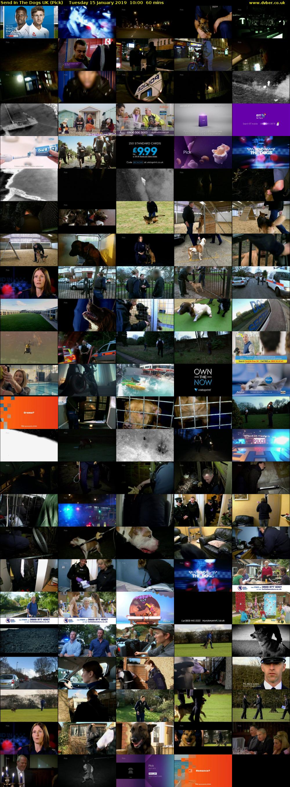 Send In The Dogs UK (Pick) Tuesday 15 January 2019 10:00 - 11:00