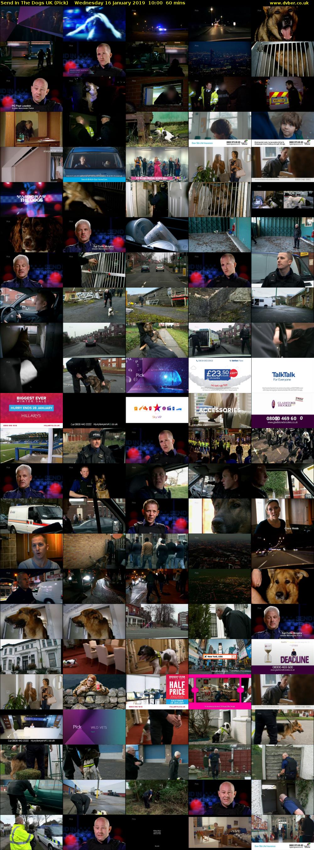 Send In The Dogs UK (Pick) Wednesday 16 January 2019 10:00 - 11:00