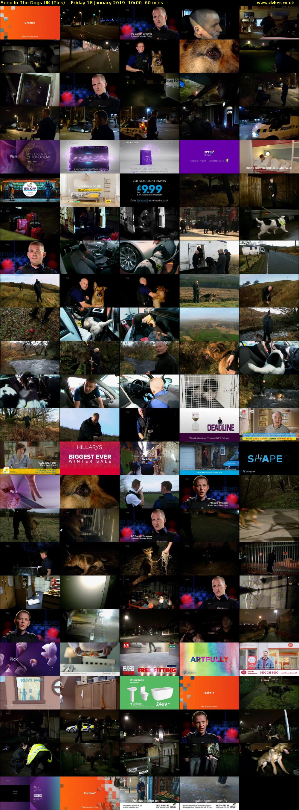 Send In The Dogs UK (Pick) Friday 18 January 2019 10:00 - 11:00