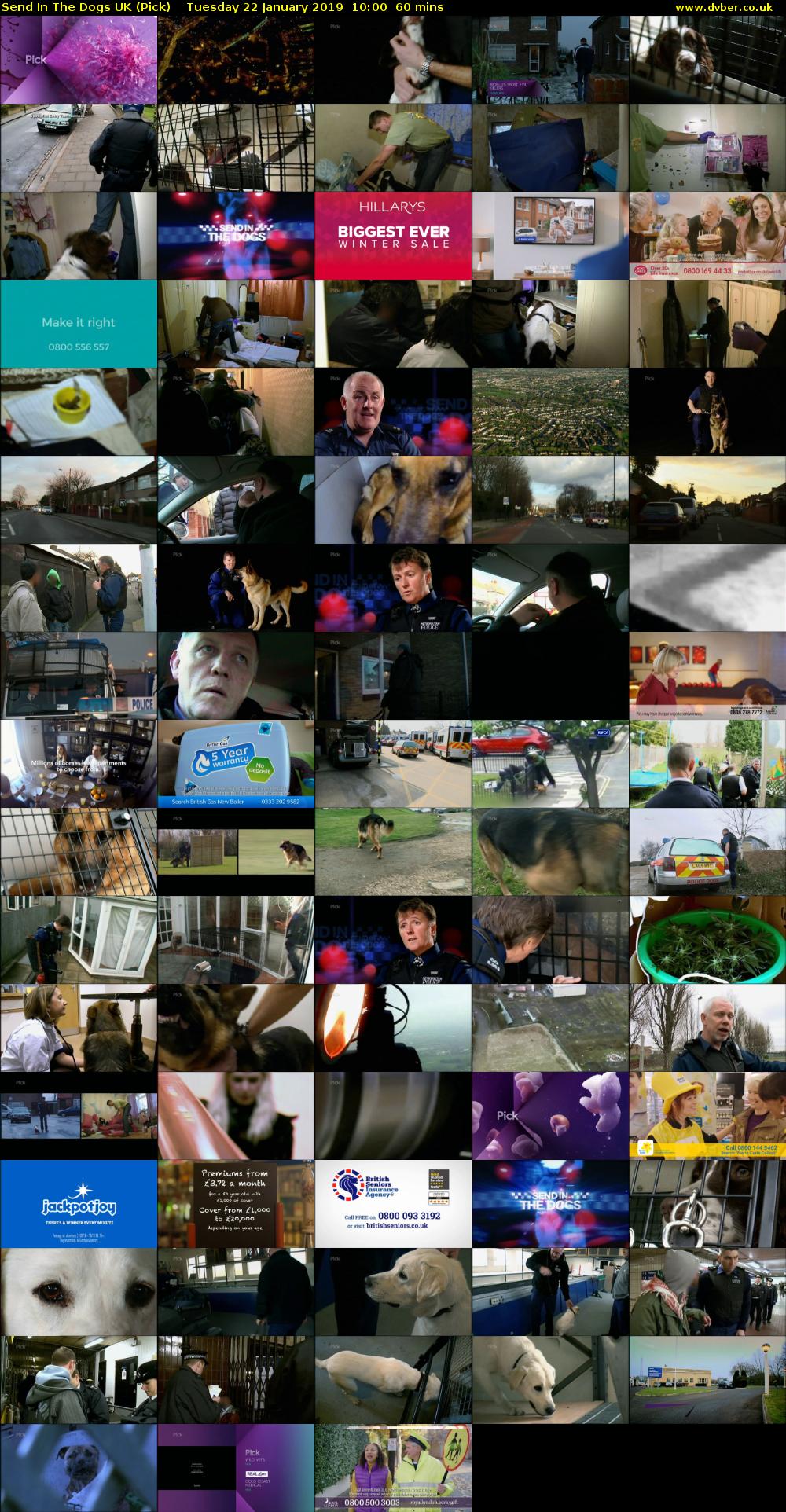 Send In The Dogs UK (Pick) Tuesday 22 January 2019 10:00 - 11:00