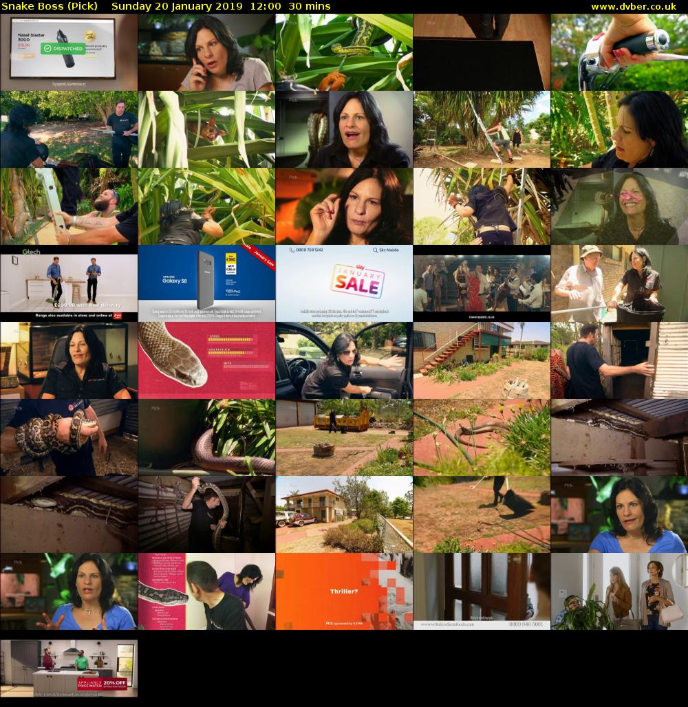 Snake Boss (Pick) Sunday 20 January 2019 12:00 - 12:30