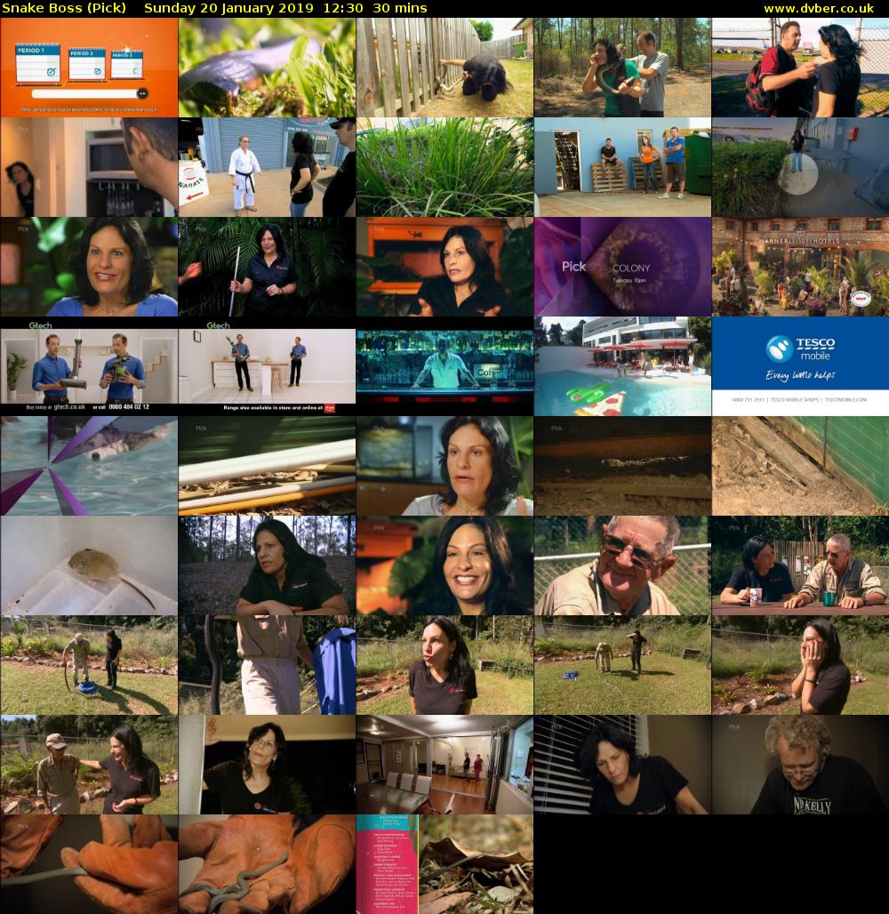 Snake Boss (Pick) Sunday 20 January 2019 12:30 - 13:00