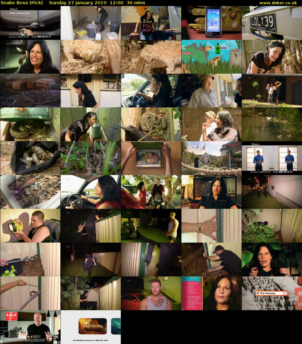 Snake Boss (Pick) Sunday 27 January 2019 12:00 - 12:30