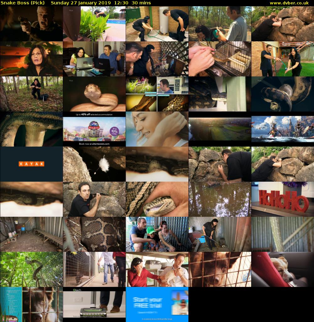 Snake Boss (Pick) Sunday 27 January 2019 12:30 - 13:00