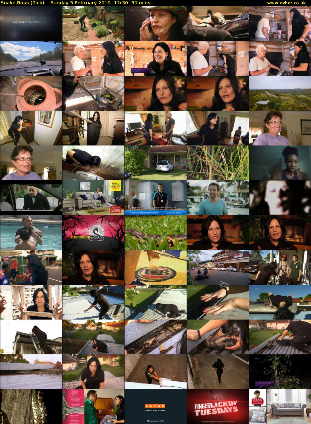 Snake Boss (Pick) Sunday 3 February 2019 12:30 - 13:00