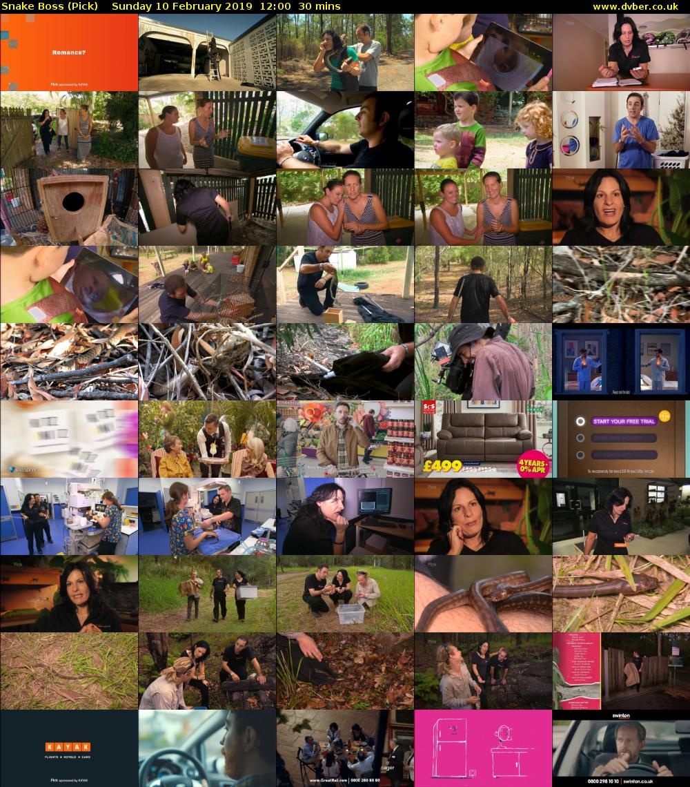 Snake Boss (Pick) Sunday 10 February 2019 12:00 - 12:30