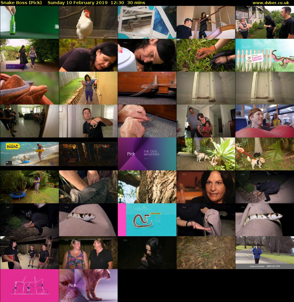 Snake Boss (Pick) Sunday 10 February 2019 12:30 - 13:00