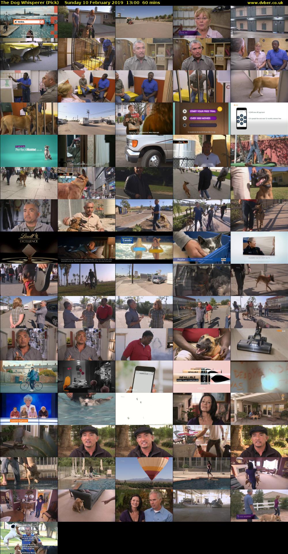 The Dog Whisperer (Pick) Sunday 10 February 2019 13:00 - 14:00