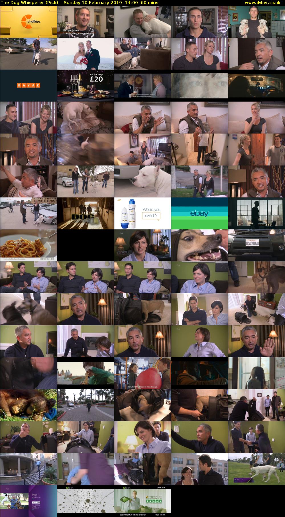 The Dog Whisperer (Pick) Sunday 10 February 2019 14:00 - 15:00