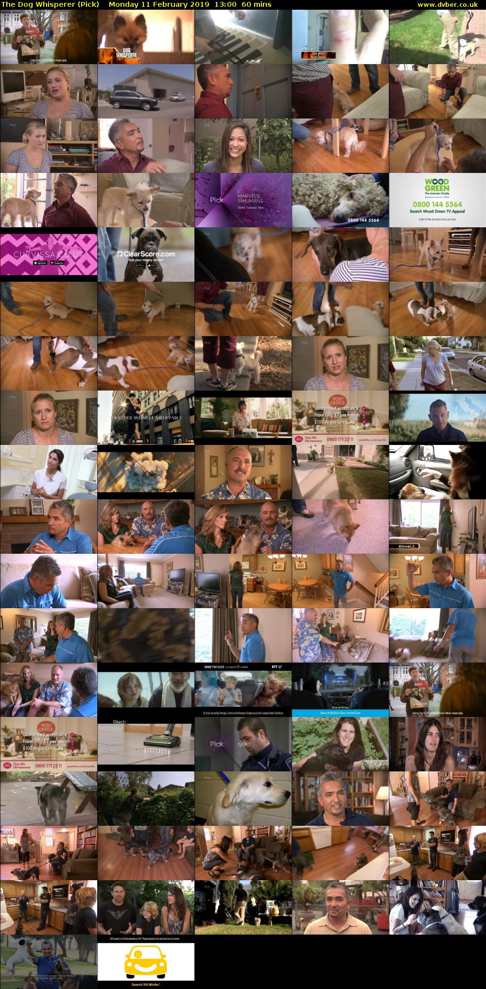 The Dog Whisperer (Pick) Monday 11 February 2019 13:00 - 14:00