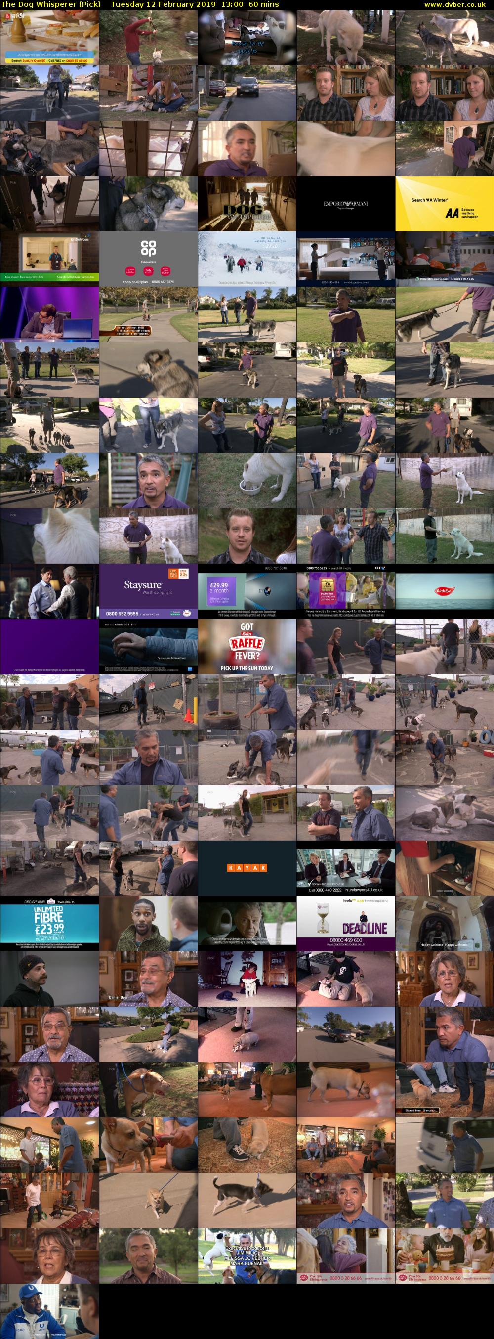 The Dog Whisperer (Pick) Tuesday 12 February 2019 13:00 - 14:00