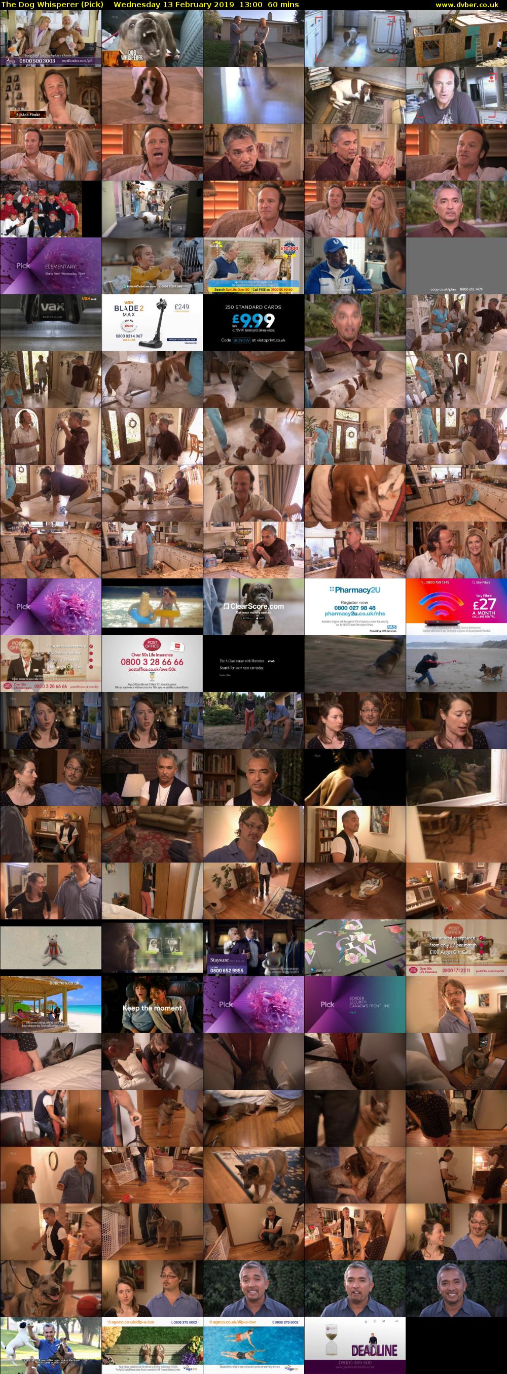 The Dog Whisperer (Pick) Wednesday 13 February 2019 13:00 - 14:00