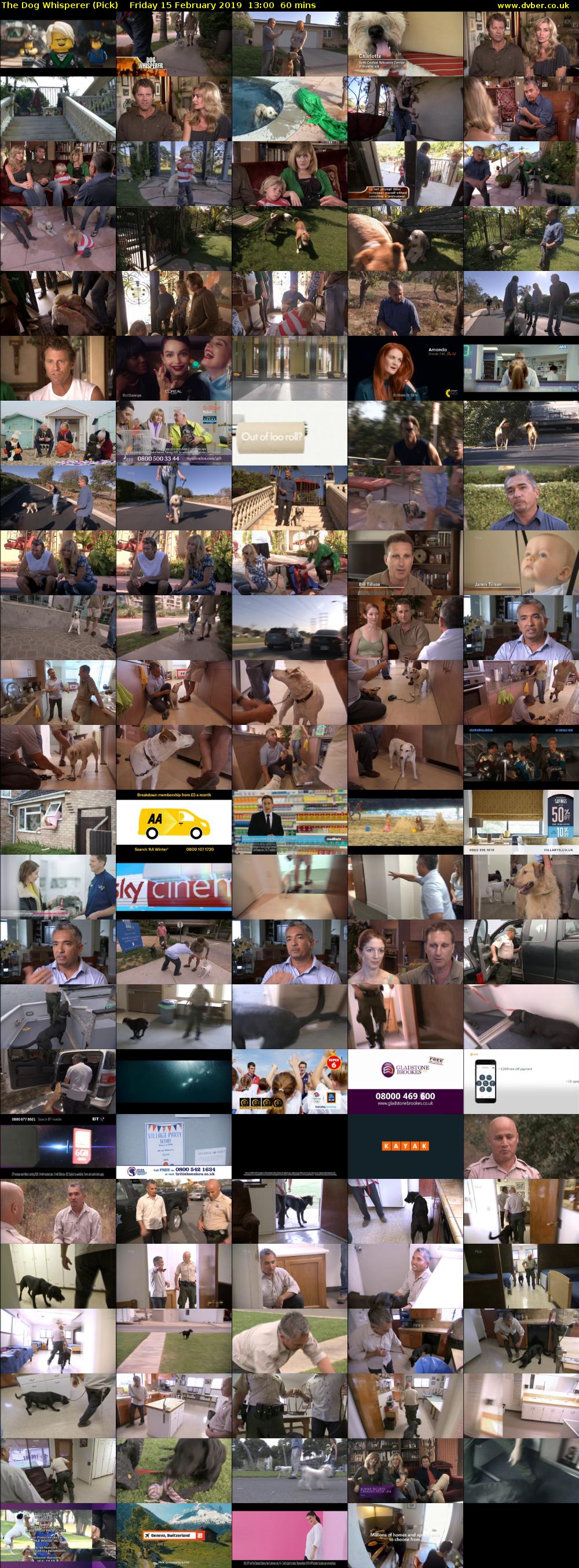 The Dog Whisperer (Pick) Friday 15 February 2019 13:00 - 14:00