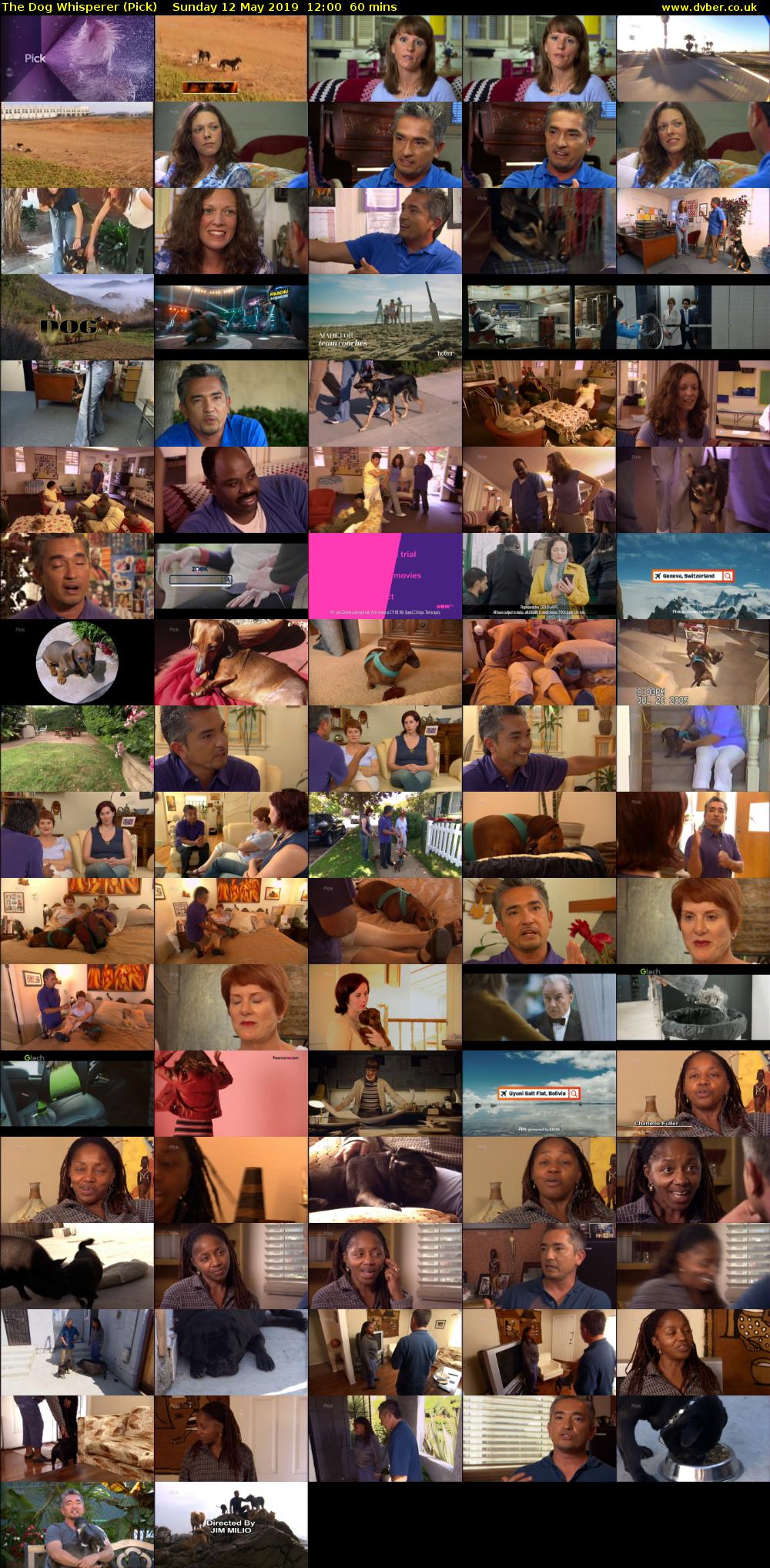 The Dog Whisperer (Pick) Sunday 12 May 2019 12:00 - 13:00