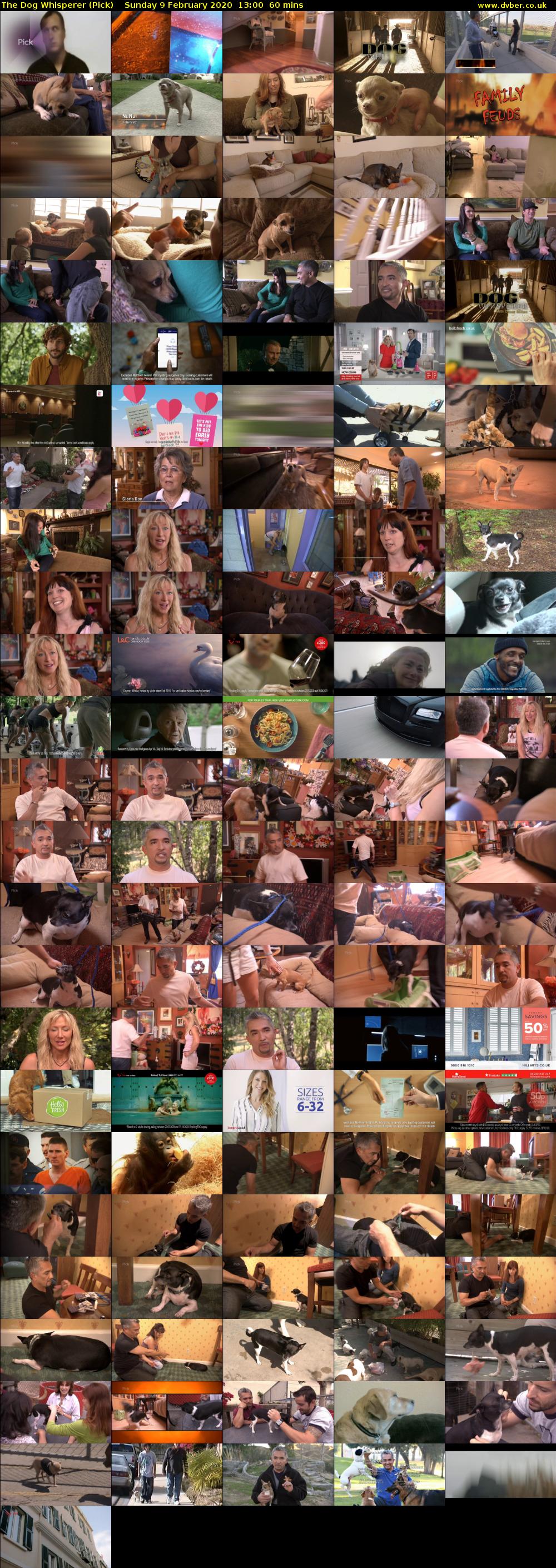 The Dog Whisperer (Pick) Sunday 9 February 2020 13:00 - 14:00