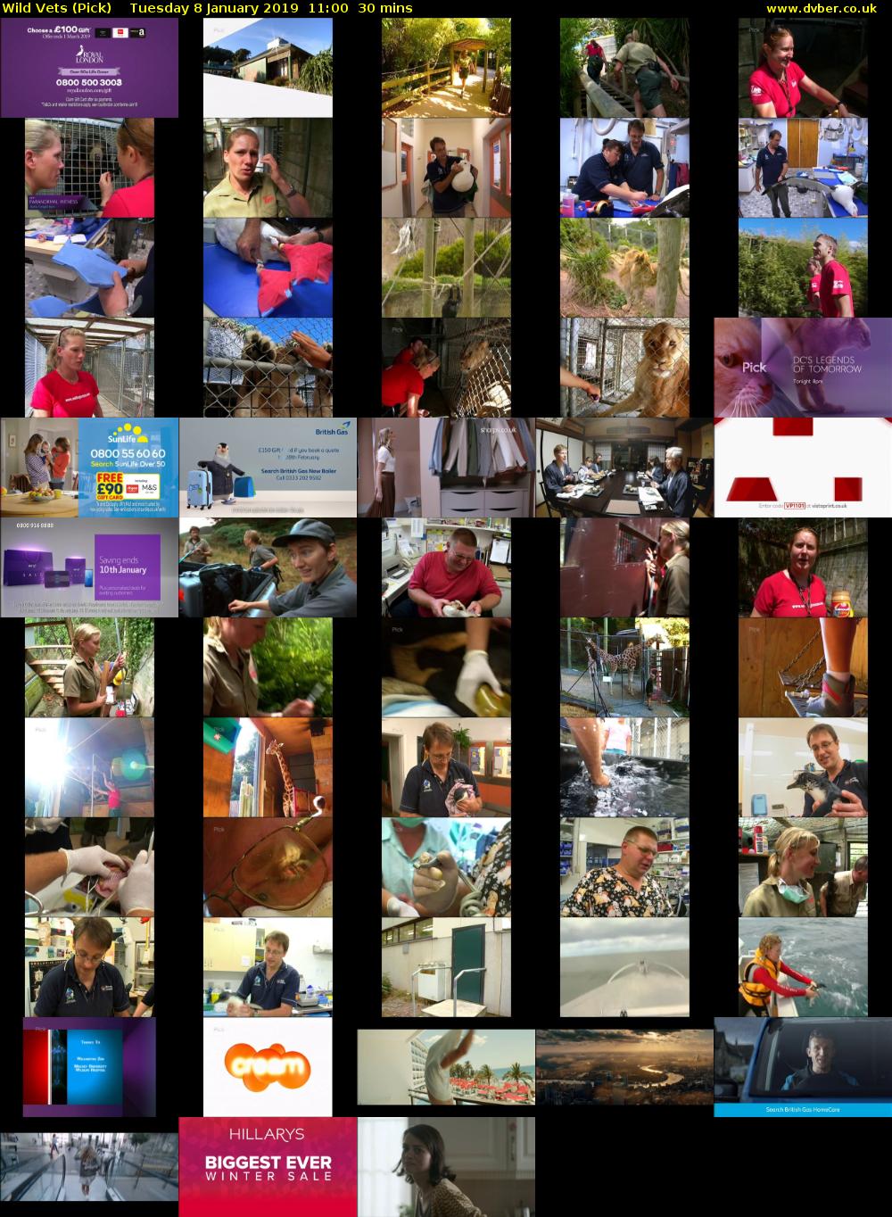 Wild Vets (Pick) Tuesday 8 January 2019 11:00 - 11:30