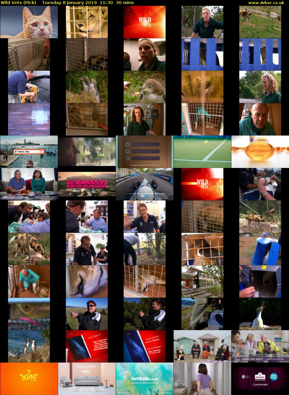 Wild Vets (Pick) Tuesday 8 January 2019 11:30 - 12:00