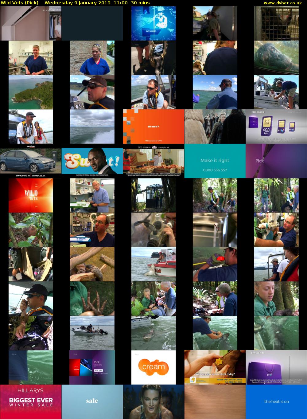 Wild Vets (Pick) Wednesday 9 January 2019 11:00 - 11:30