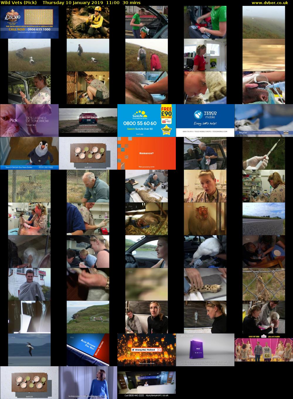 Wild Vets (Pick) Thursday 10 January 2019 11:00 - 11:30