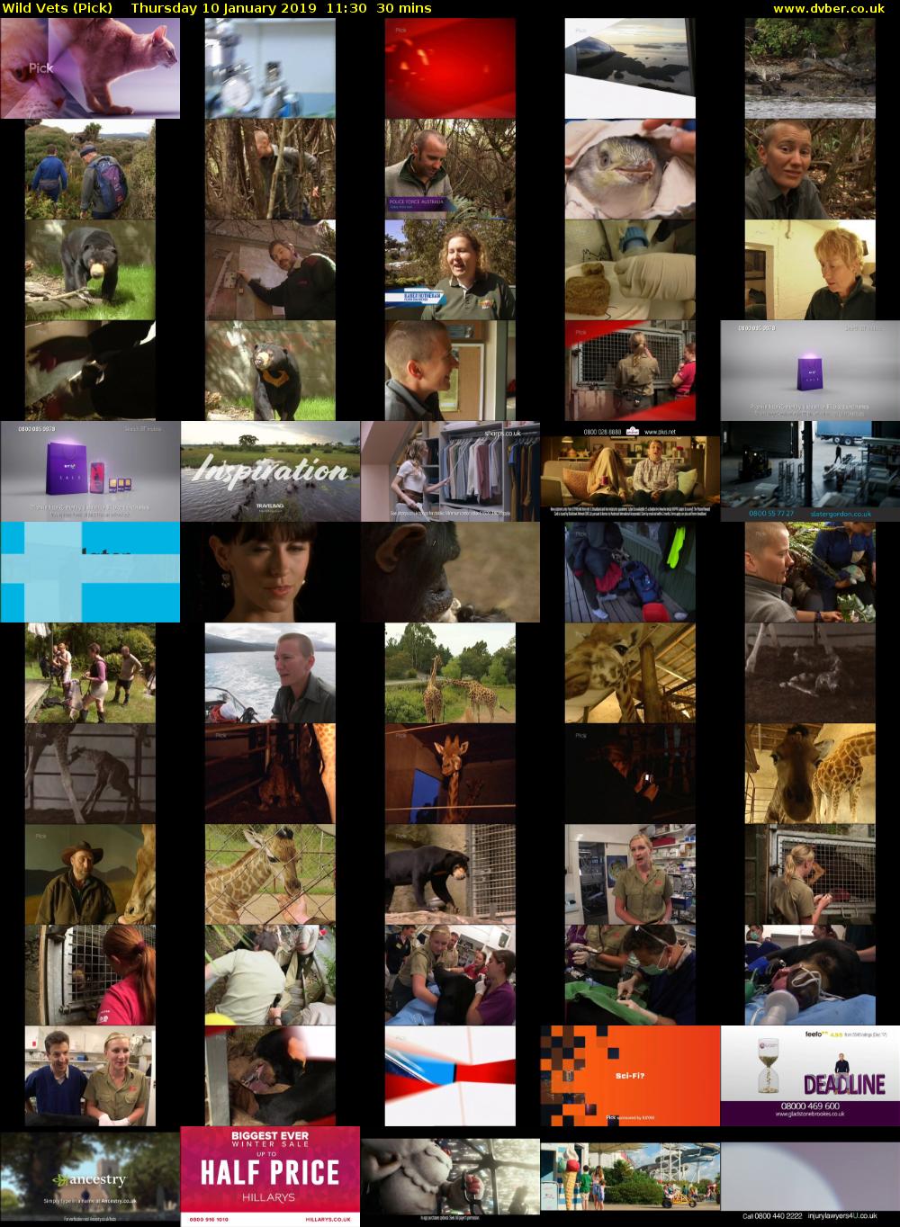 Wild Vets (Pick) Thursday 10 January 2019 11:30 - 12:00