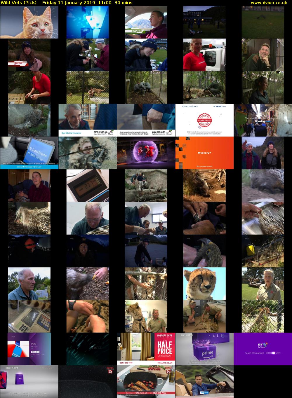 Wild Vets (Pick) Friday 11 January 2019 11:00 - 11:30