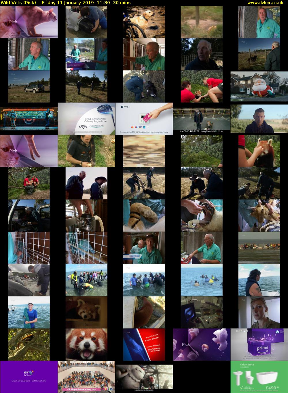 Wild Vets (Pick) Friday 11 January 2019 11:30 - 12:00