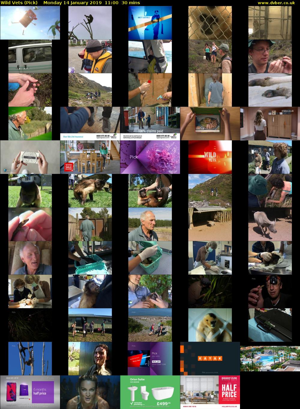 Wild Vets (Pick) Monday 14 January 2019 11:00 - 11:30