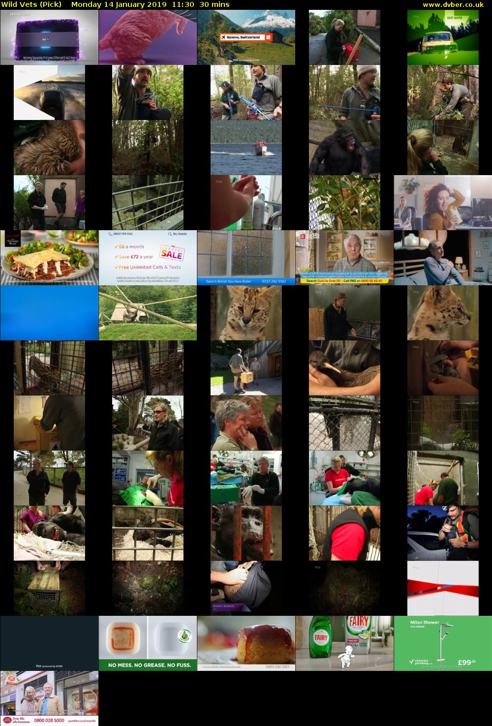 Wild Vets (Pick) Monday 14 January 2019 11:30 - 12:00