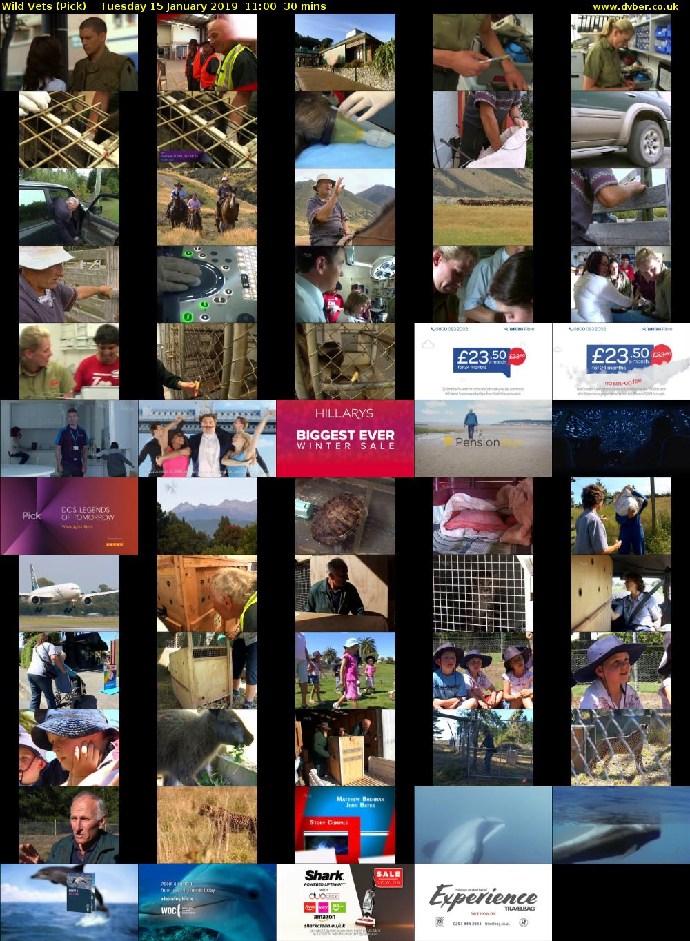 Wild Vets (Pick) Tuesday 15 January 2019 11:00 - 11:30