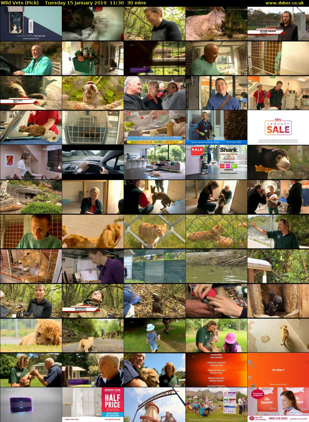 Wild Vets (Pick) Tuesday 15 January 2019 11:30 - 12:00