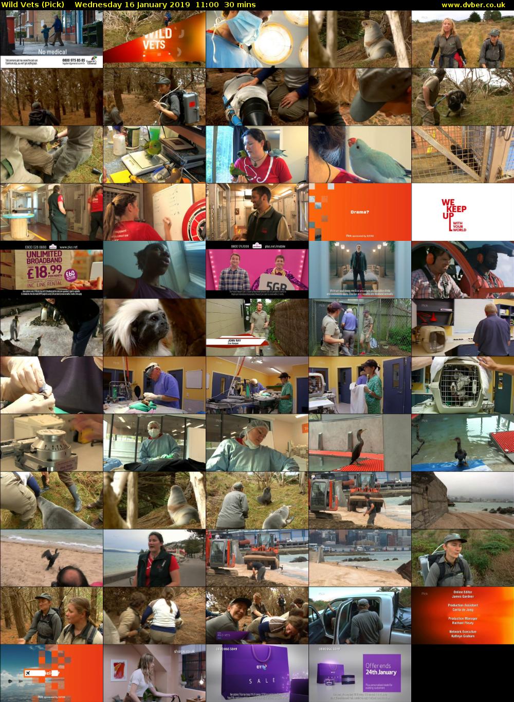 Wild Vets (Pick) Wednesday 16 January 2019 11:00 - 11:30