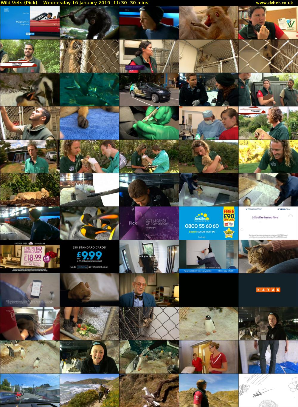 Wild Vets (Pick) Wednesday 16 January 2019 11:30 - 12:00