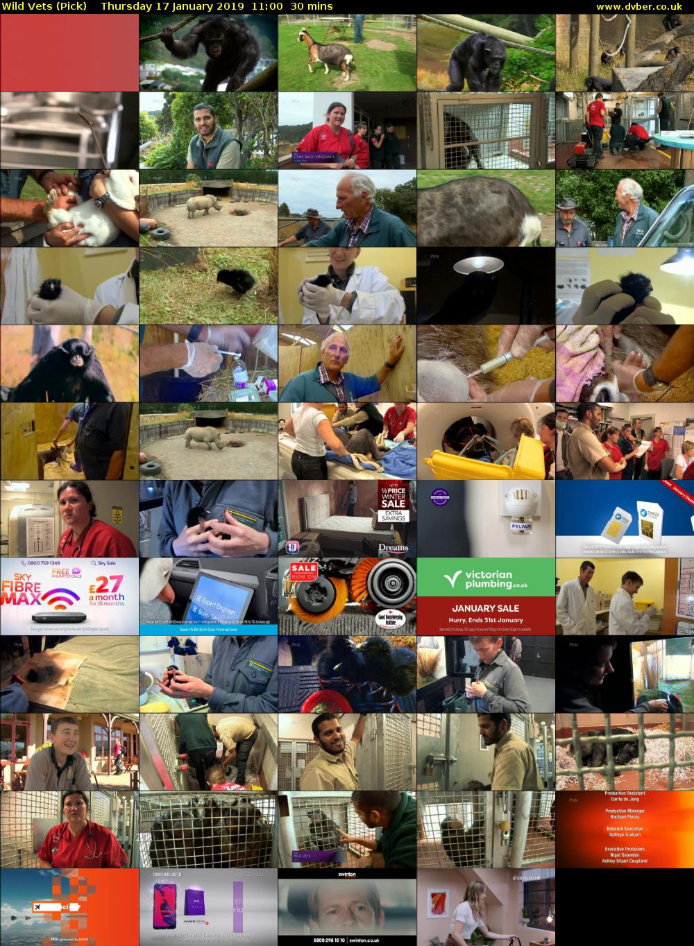 Wild Vets (Pick) Thursday 17 January 2019 11:00 - 11:30