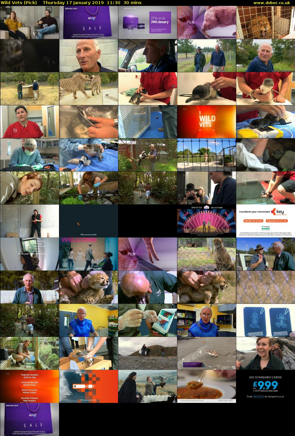 Wild Vets (Pick) Thursday 17 January 2019 11:30 - 12:00