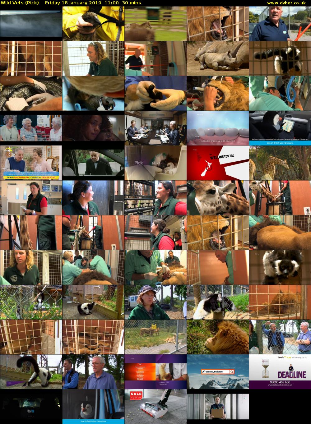 Wild Vets (Pick) Friday 18 January 2019 11:00 - 11:30