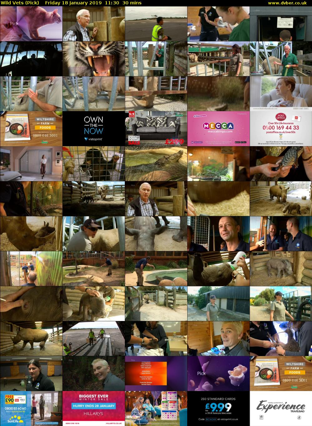 Wild Vets (Pick) Friday 18 January 2019 11:30 - 12:00