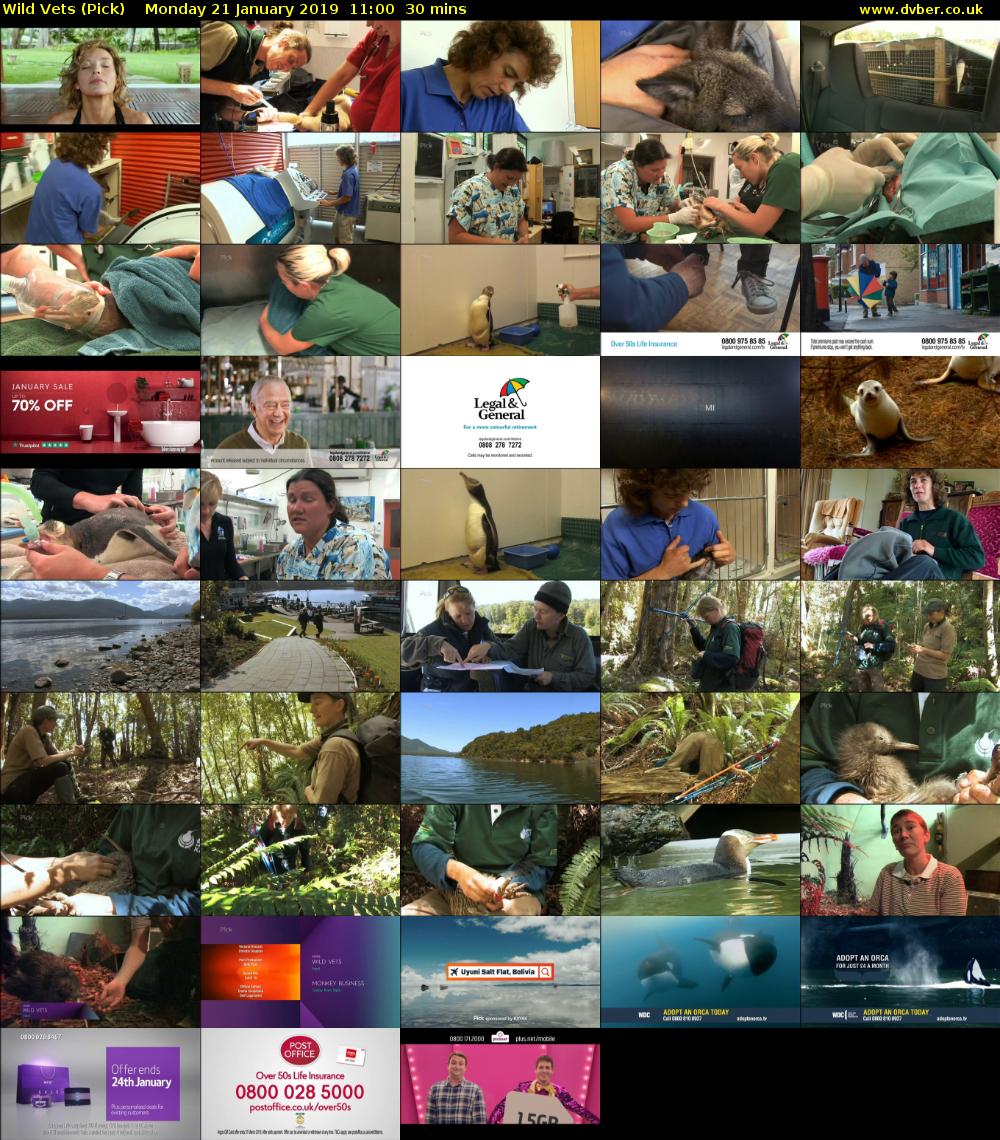 Wild Vets (Pick) Monday 21 January 2019 11:00 - 11:30