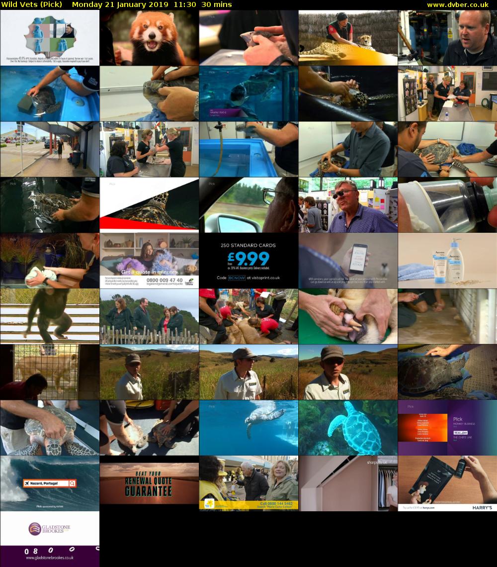 Wild Vets (Pick) Monday 21 January 2019 11:30 - 12:00