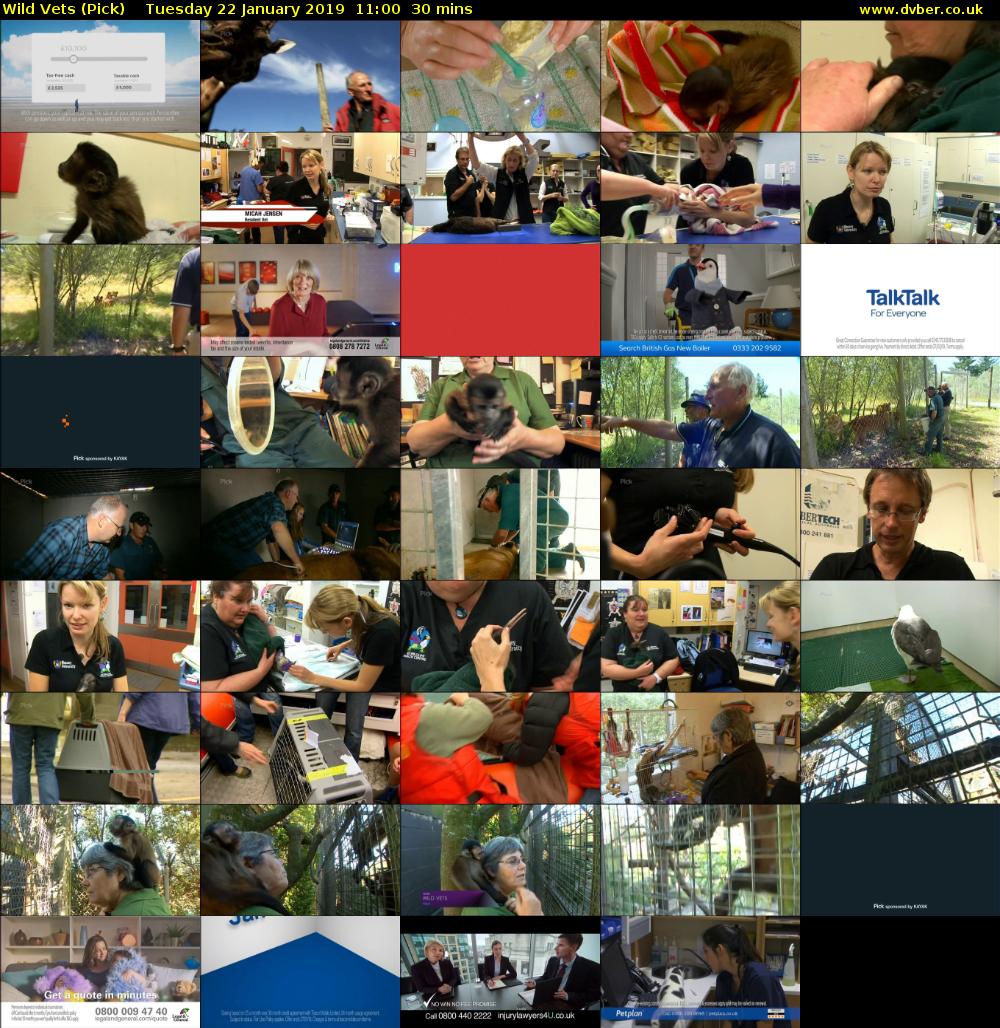 Wild Vets (Pick) Tuesday 22 January 2019 11:00 - 11:30