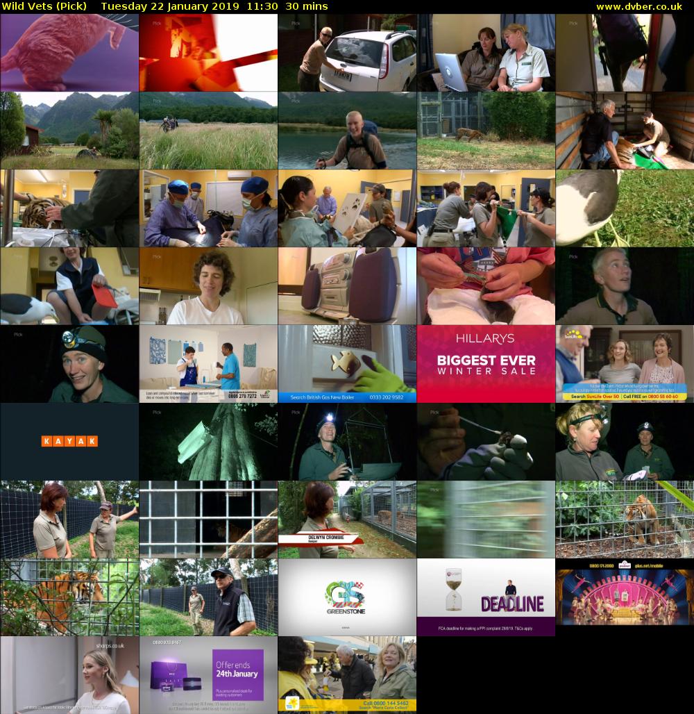 Wild Vets (Pick) Tuesday 22 January 2019 11:30 - 12:00