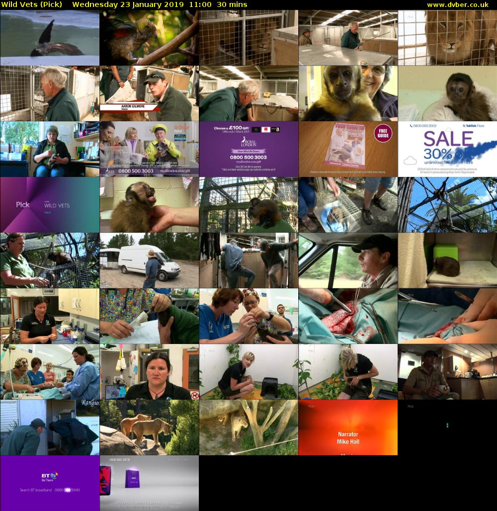 Wild Vets (Pick) Wednesday 23 January 2019 11:00 - 11:30