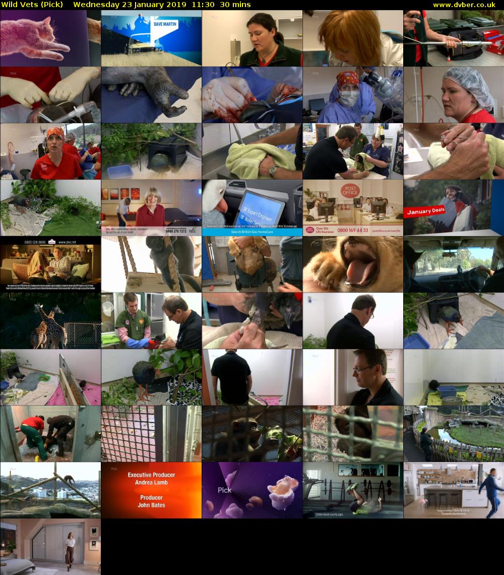 Wild Vets (Pick) Wednesday 23 January 2019 11:30 - 12:00