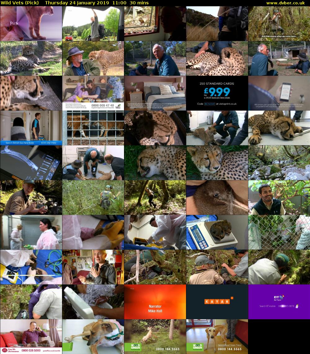 Wild Vets (Pick) Thursday 24 January 2019 11:00 - 11:30