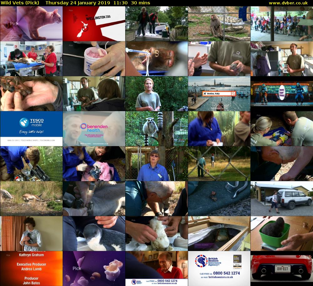 Wild Vets (Pick) Thursday 24 January 2019 11:30 - 12:00