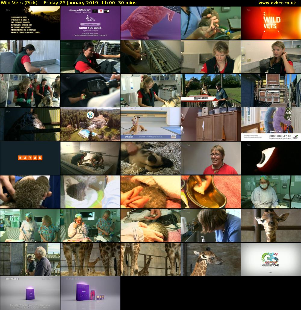 Wild Vets (Pick) Friday 25 January 2019 11:00 - 11:30